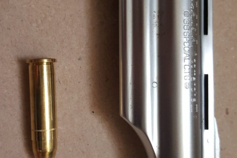 Temiz (ruhsatı hazır olan arasin)