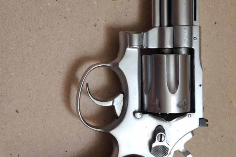 Temiz (ruhsatı hazır olan arasin)