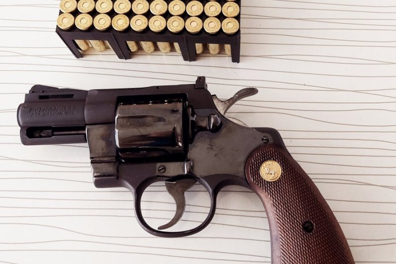 Colt Python