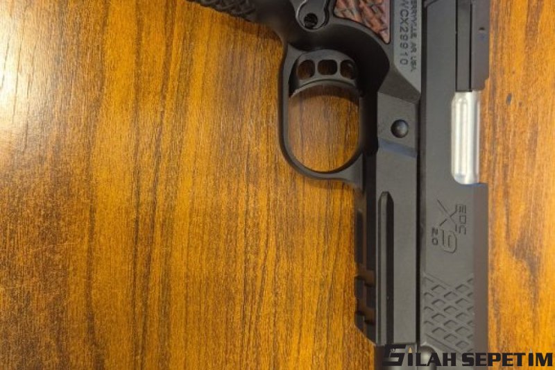 Wilson Combat EDC x9 Large 2.0 2025 model